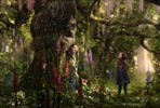 EventGalleryImage_Tree3.jpg