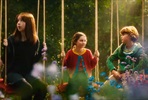 EventGalleryImage_Tree4.jpg