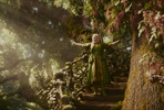 EventGalleryImage_Tree5.jpg